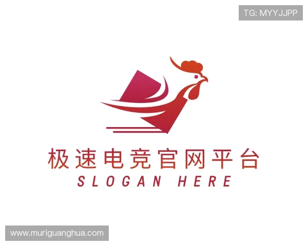 了解极速电竞官方